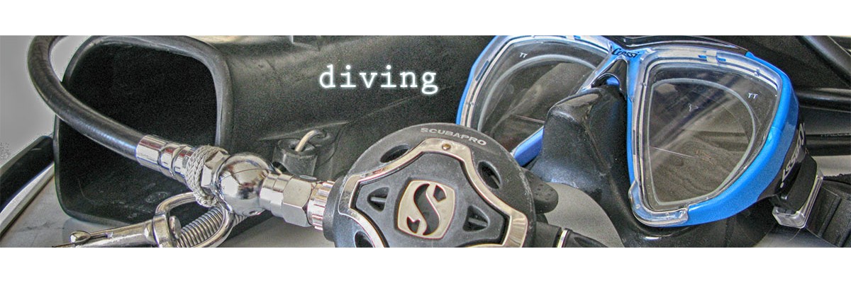 S1